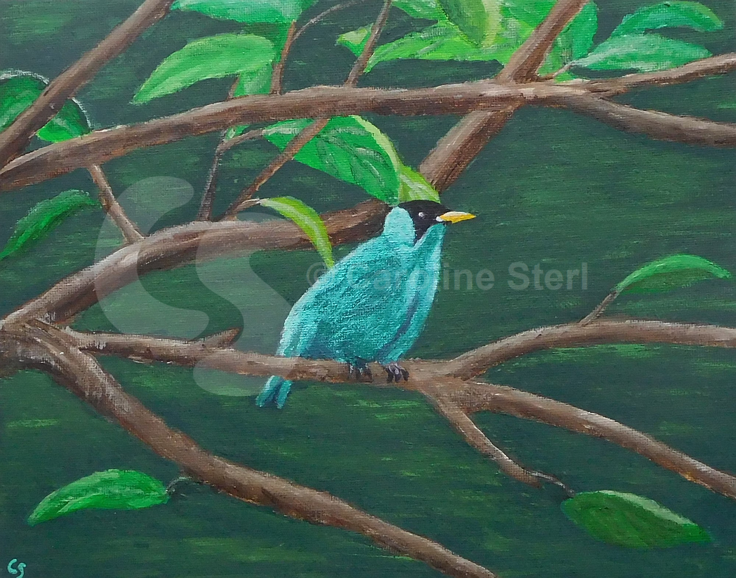 Painting: Green Honeycreeper